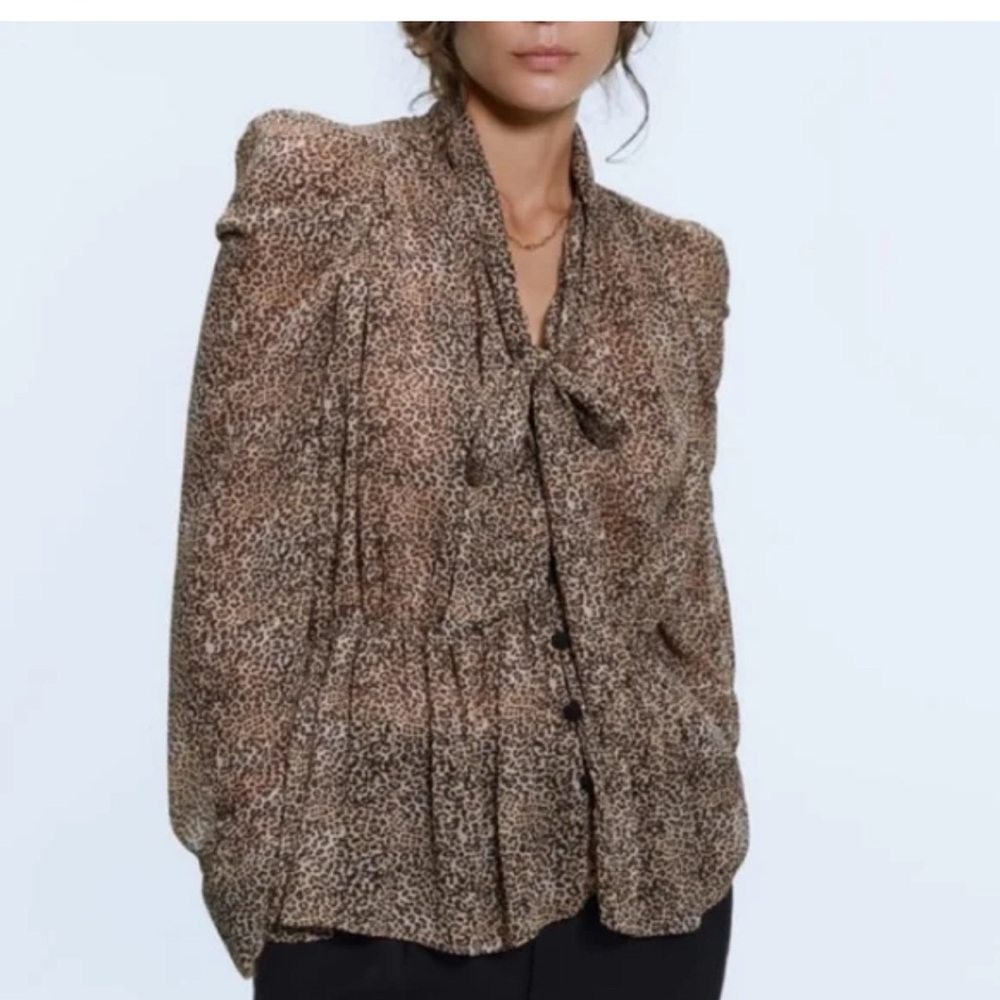 Zara blouse
